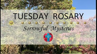 Tuesday Rosary • Sorrowful Mysteries of the Rosary 💜 October 29 2024 VIRTUAL ROSARY  MEDITATION [upl. by Eilesor]