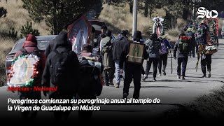 Peregrinos comienzan su peregrinaje anual al templo de la Virgen de Guadalupe en México [upl. by Alis]