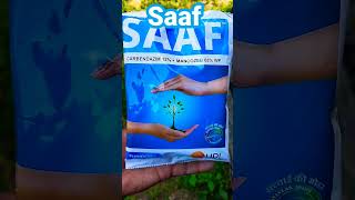 SAAF FUNGICIDE  UPL SAAF FUNGICIDE  short shorts [upl. by Oliviero]