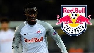 Diadie Samassekou  Amazing Defensive Skills 2018 ● Red Bull Salzburg  HD [upl. by Evans]