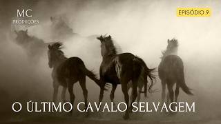 PRZEWALSKI  O ÚLTIMO CAVALO SELVAGEM [upl. by Anehta]