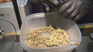 Denver Unveils New System For Clearing Pot Convictions [upl. by Nwahsel]