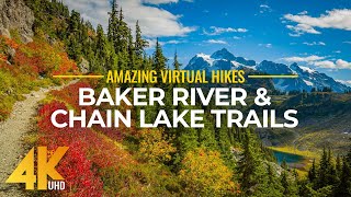 4K Virtual Hike Near River through the Forest  Baker River Trail amp Chain Lake Trail [upl. by Boarer]