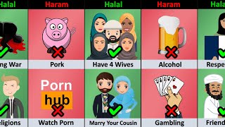 Halal vs Haram In Islam Religion [upl. by Strep]