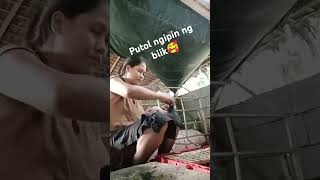 Putol ngipin ng biik🦷🦷🐷🐷 youtube hograiser [upl. by Michi]