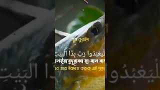 সুমধুর কন্ঠে সূরা কুরাইশ ১ঘন্টায় short viral islamicstory Allah Ghulam vidoeshort viral [upl. by Nnaira]