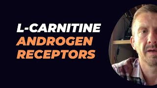 LCarnitine Androgen Receptors [upl. by Broeder911]