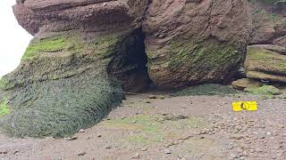 20240828 Hopewell Rocks Hopewell Cape Fundy Bay Giant tides [upl. by Safko]