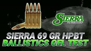 223 vs deer shoulder and ballistics gel Hornady 70 grain GMX 75 bthp 62 spire point [upl. by Blaine]