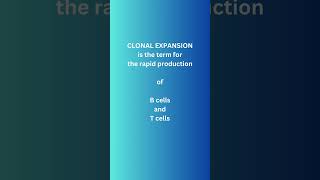 Where do Memory B cells and T cells come Fromscienceimmunesystem physiology [upl. by Ailin106]