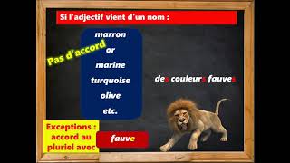 Adjectifs de couleur  accord [upl. by Laeria669]