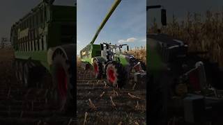 Ensilage maïs sur fs22 ls22 fs22 farmingsimulator farmlife gameplay [upl. by Yelnik]