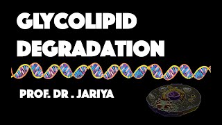 GLYCOLIPID DEGRADATION [upl. by Rehpoitsirhc]