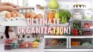 ULTIMATE Fridge Organization IN 5 Easy Steps MissLizHeart [upl. by Wesa]