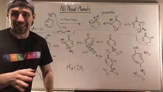 Introduction to Phenols Characteristics and Naming [upl. by Haras]