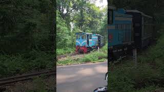 Darjeeling train दार्जीलिंग हिमालयन रेलवे youtubeshorts shorts darjeelingtour explorer [upl. by Tsyhtema]