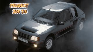 Peugeot 205 T16 [upl. by Wenn]