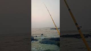 Wait for big bite fishing with friends Lucana salt armour amp yellow storm rod youtubeshorts fish [upl. by Zanlog788]