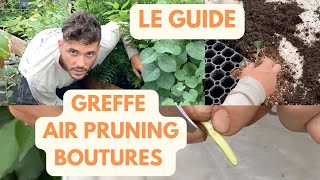 3 Techniques de pépinièristes  Air Pruning Bed Greffe d’Été amp Boutures [upl. by Benedetto]