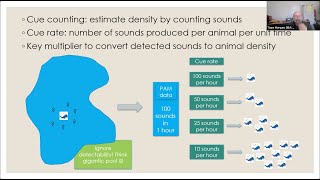 BioacousTalks Animal Density from Passive Acoustic Recordings with Tiago Marques [upl. by Valiant]