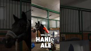 Nie długo wrzuce part 2🤪☀️ horse equestrian blog vlog konie eqestrianvlogcomedy śmiesznedc [upl. by Nerrag]