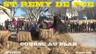 ST REMY DE PROVENCEJournée Course au plan06012019Encierro dhiver [upl. by Ained]