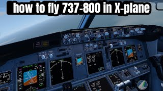 Cold and Dark Startup of Boeing 737800 Xplane mobile Tutorial [upl. by Juliet755]