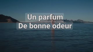 🛑 LE PARFUM DE BONNE ODEUR ‼️ [upl. by Marleen]