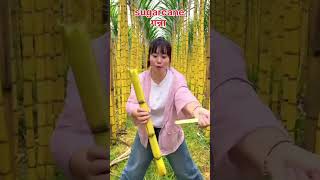 गन्ना Sugarcane shorts trending viralvideo fruit education study shikhachauhan [upl. by James]