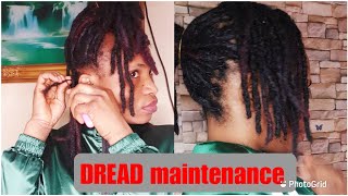 How to maintain your DREADLOCKS AT HOMEDREAD TIPS [upl. by Unders]