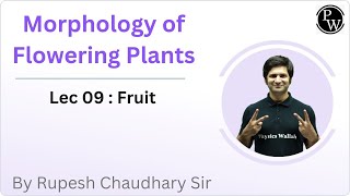 Morphology of Flowering Plants 🪴 09 [upl. by Accisej115]