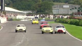 Lenham GT SS1800 Goodwood 2010 [upl. by Anirdnaxela539]