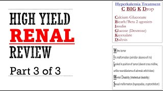 Renal Pance Review Part 3 of 3 [upl. by Anerys478]