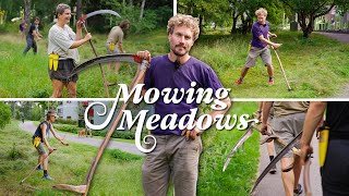 Scything to Save RARE Biodiversity at City Park in Sweden  MOWING MEADOWS E01 Magistratshagen [upl. by Geerts]