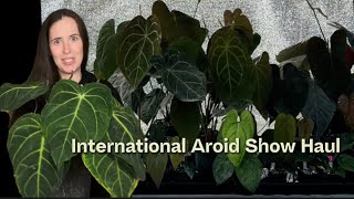 International Aroid Show 2023 Major Plant Haul [upl. by Atoked209]