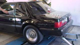 93 Mustang SSP Coupe B303 cam Dyno [upl. by Leidgam]