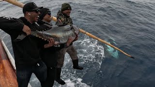 JUMBO Bluefin Tuna Fishing in San Diego [upl. by Assilac699]