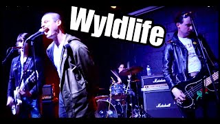 Wyldlife  Wyld In Indy 2019 [upl. by Ilocin]