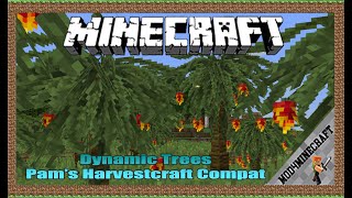 Dynamic Trees Pams Harvestcraft Compat Mod 1122 ampTutorial Downloading And Installing For Minecraft [upl. by Jenelle288]