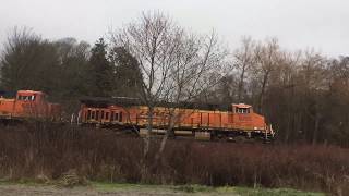 Train at Carkeek Park [upl. by Nnylamme487]