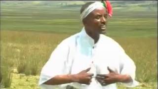 Husen Amano  Looyii koommee Oromo Music [upl. by Carlton]