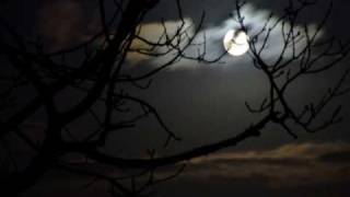 Moonlight SonataPiano Sonata No 14 in Csharp minor quotQuasi una fantasiaquot [upl. by Hasile]