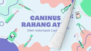 Caninus Rahang Atas Maxilla Penjelasan Sisi Palatal Labial Mesial Distal dan Incisal [upl. by Pepin61]