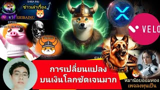 EP386 ShibaInu XRP Velo Floki Pork BONE AITECH BADAI การเปลี่ยนแปลงบนโลกการเงินชัดเจนมาก [upl. by Dang]