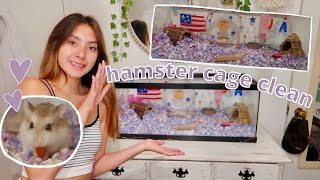 HAMSTER CAGE CLEAN OUT Roborovski Hamster [upl. by Nojed975]