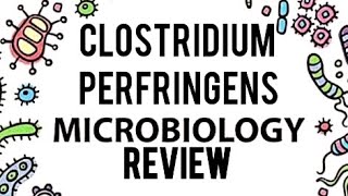 CLOSTRIDIUM PERFRINGENS GAS GANGRENEFOOD POISONINGLEVINSION MICROBIOLOGY REVIEW DETAILED [upl. by Retrac]