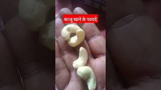 Benefits Of Cashew Nuts eating humannutrition lifescience biologyscience [upl. by Ffirahs]