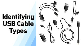 USB Cable Types How to Identify and Use Different USB Connectors [upl. by Caine885]