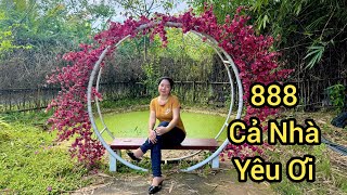 BÍCH HẠNH ĐỒNG THÁP MẾN CHÀO CẢ NHÀ 888 CẢ NHÀ YÊU ƠI [upl. by Viva143]