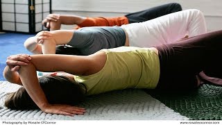 Back Pain Relief with the Feldenkrais Method [upl. by Avilo41]